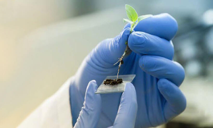 13 Ways to Reduce Life Science Supply Chain Disruptions From COVID-19