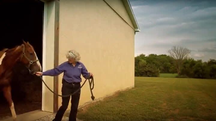 Options for Animals Testimonial