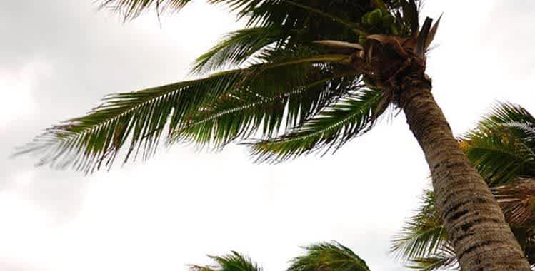 3 Tips to Help Prepare Construction Sites for Hurricanes