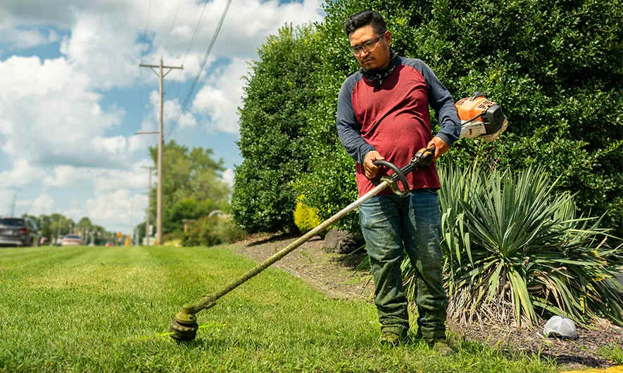 A person caring for a lawn