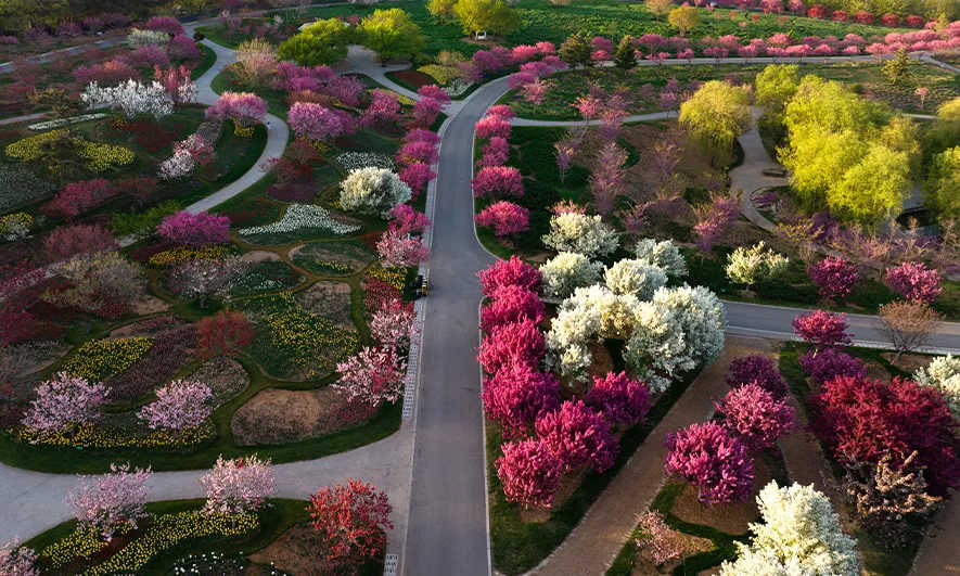 Aerial view of colorful plants and walking paths
