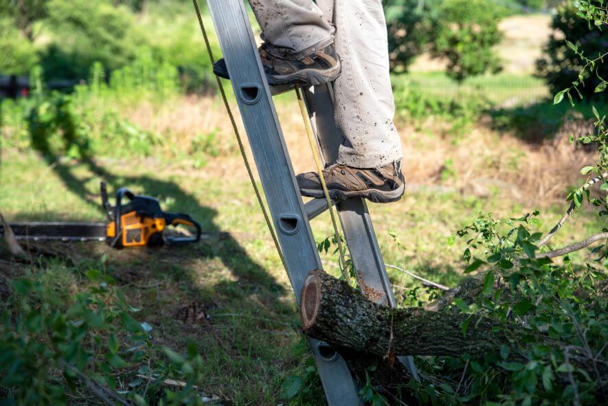 man on ladder