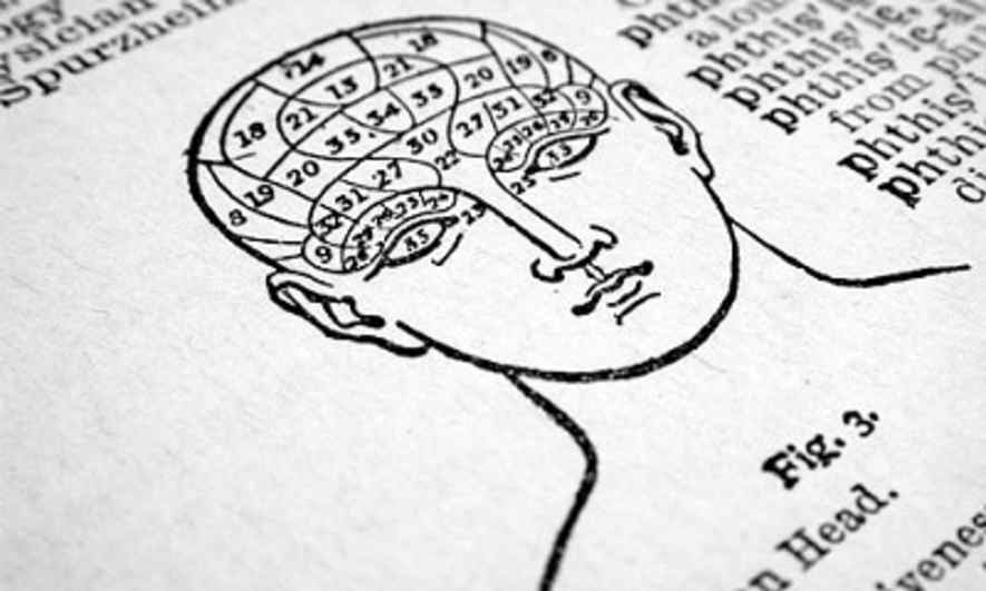 Brain Myths