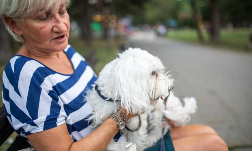 Benefits of Pet Therapy