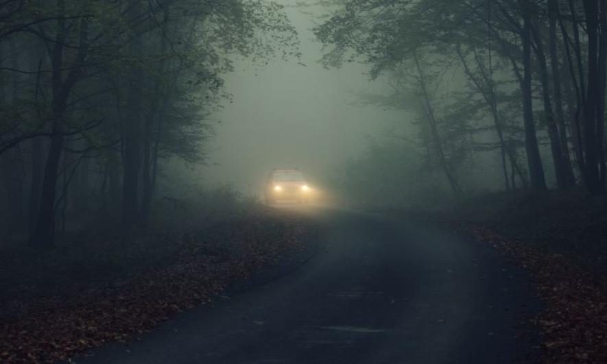 Car driving at night through a foggy forest