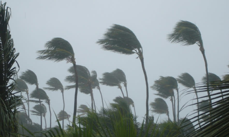 What You Need to Know About Tropical Storm Flooding
