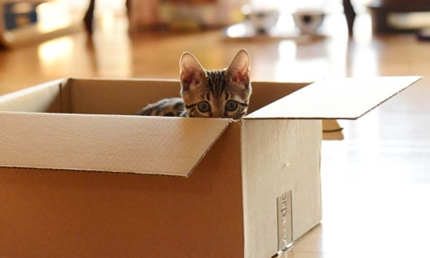 Where Can I Find Free Moving Boxes?