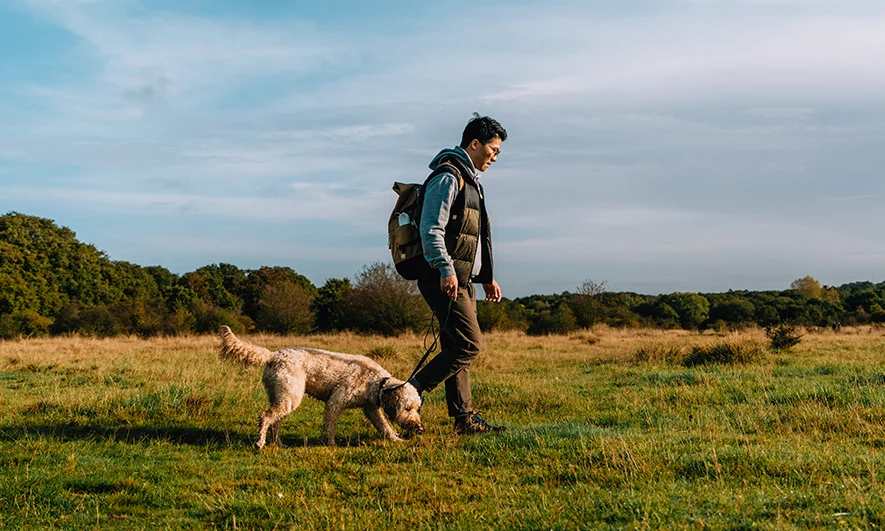  Person walking a dog on a grassy field with trees in the background under a partly cloudy sky.