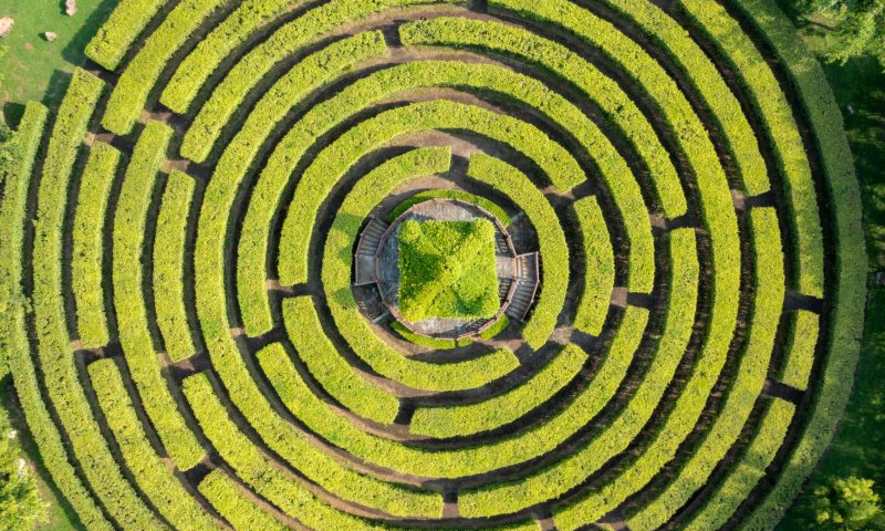 Brain Teaser: Arrow Maze