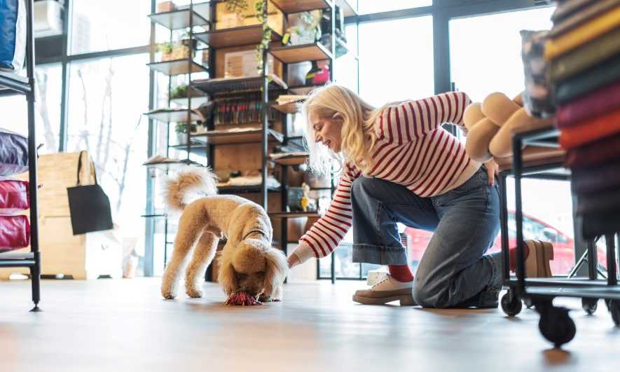 a dog friendly small business