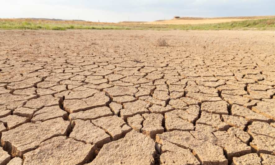 How to Protect Yourself During a Drought