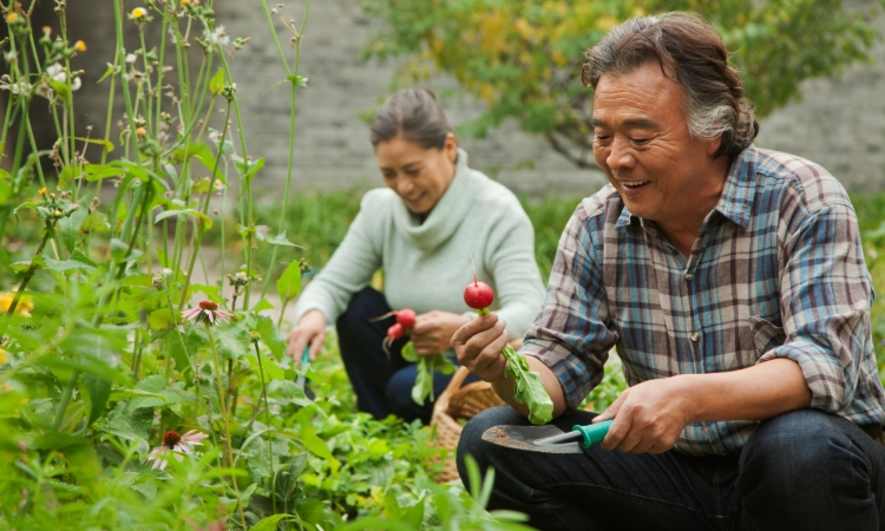 gardening for beginners