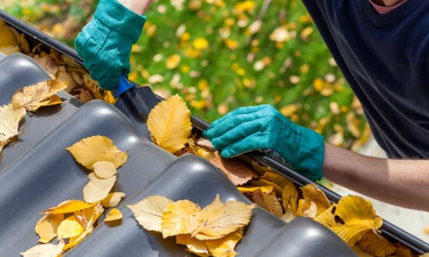 Roof to Floor Care: The (Literal) Ups and Downs of Having a Home