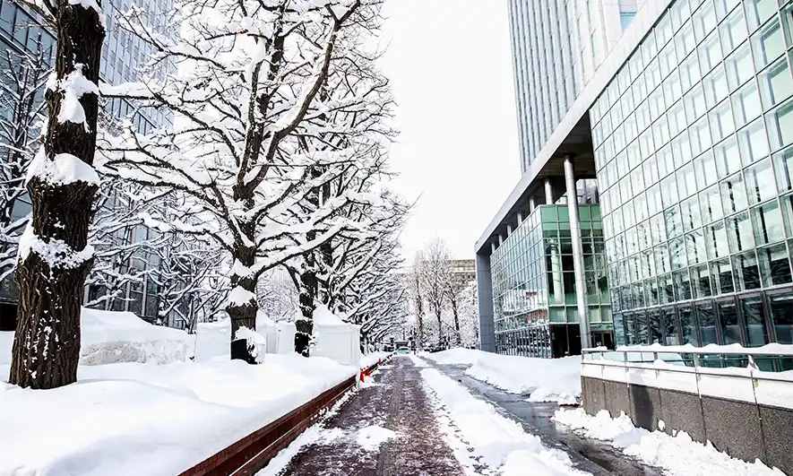 Preparing for Winter Guide