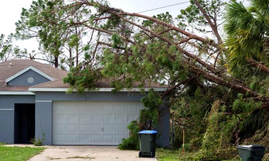 What to Do Immediately After a Hurricane
