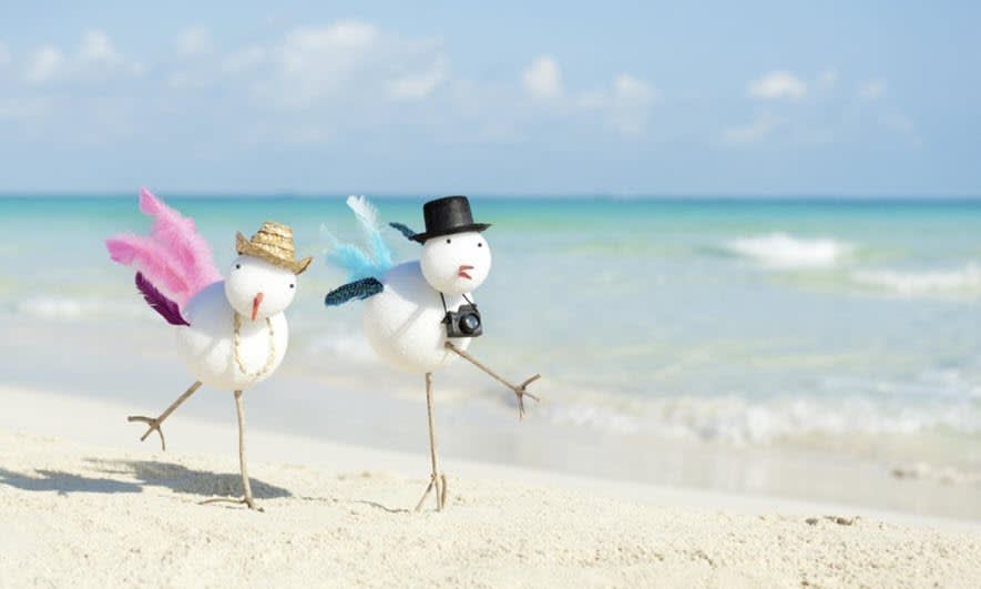 Snowbird Packing Tips for a Smooth Migration