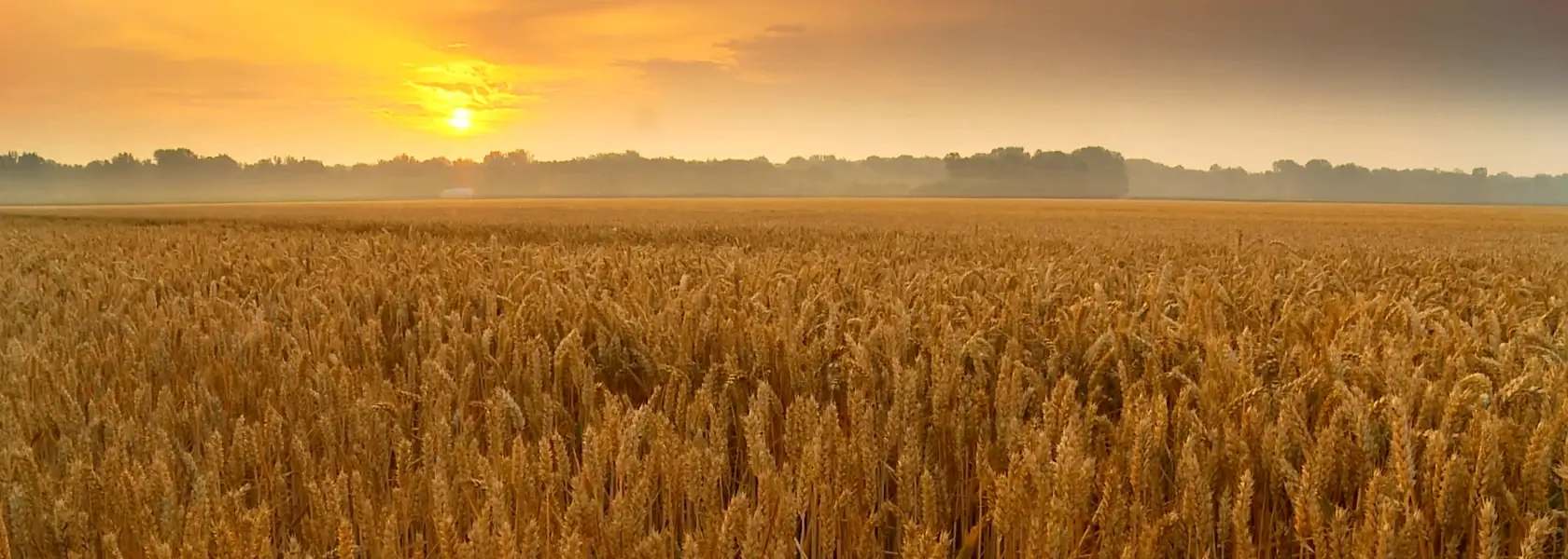 Slideshow of crops, a large ship, server racks, manufacturing