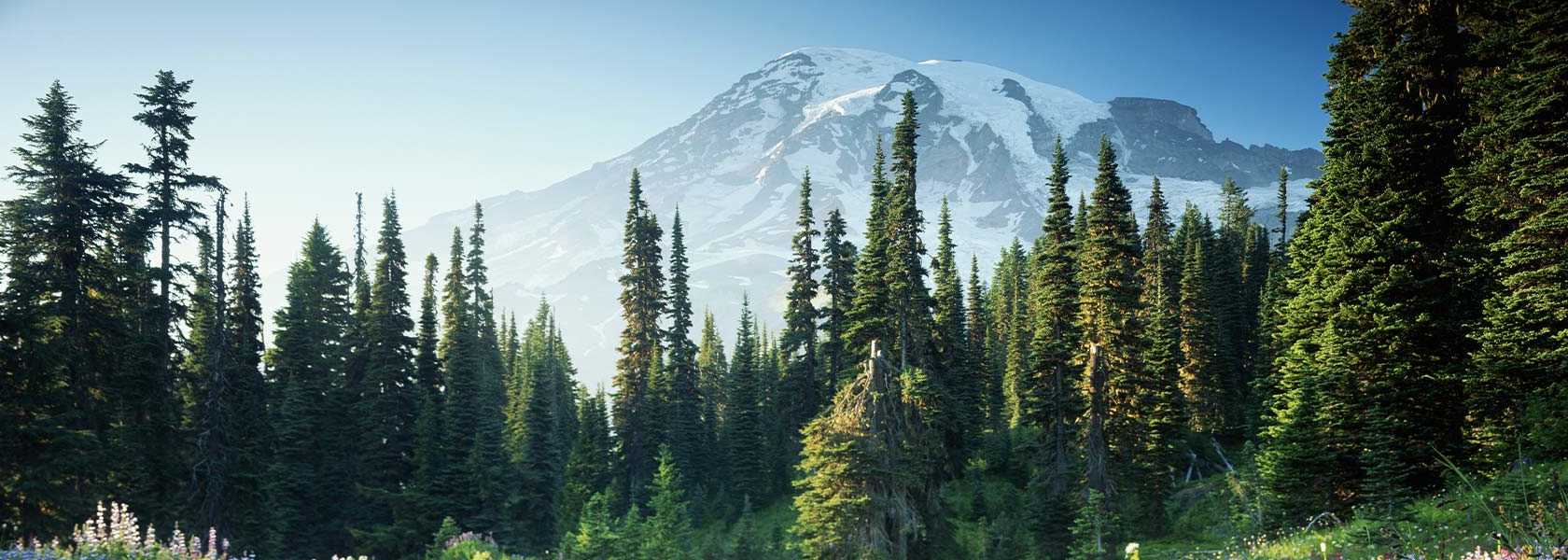 Washington State car insurance