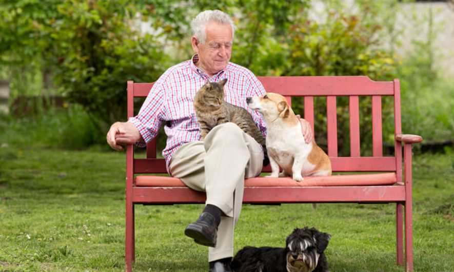 Senior Pets Need Homes Too