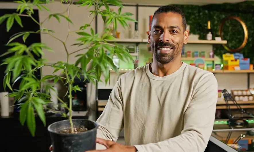 business protected by cannabis insurance