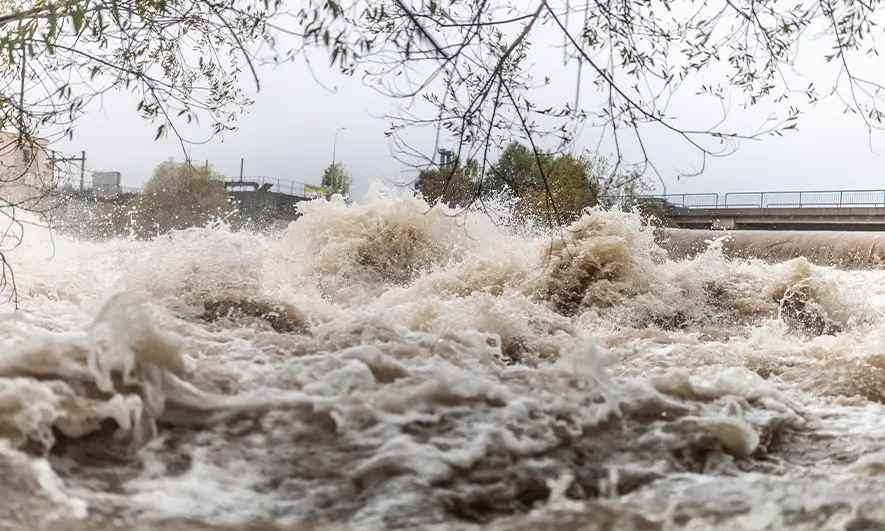 businesses protected by commercial flood insurance
