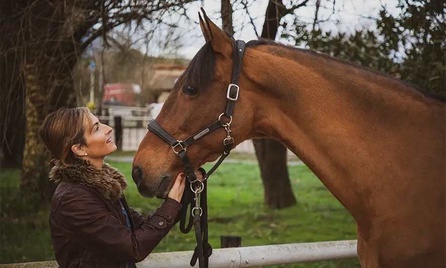 business owner protected by equine insurance