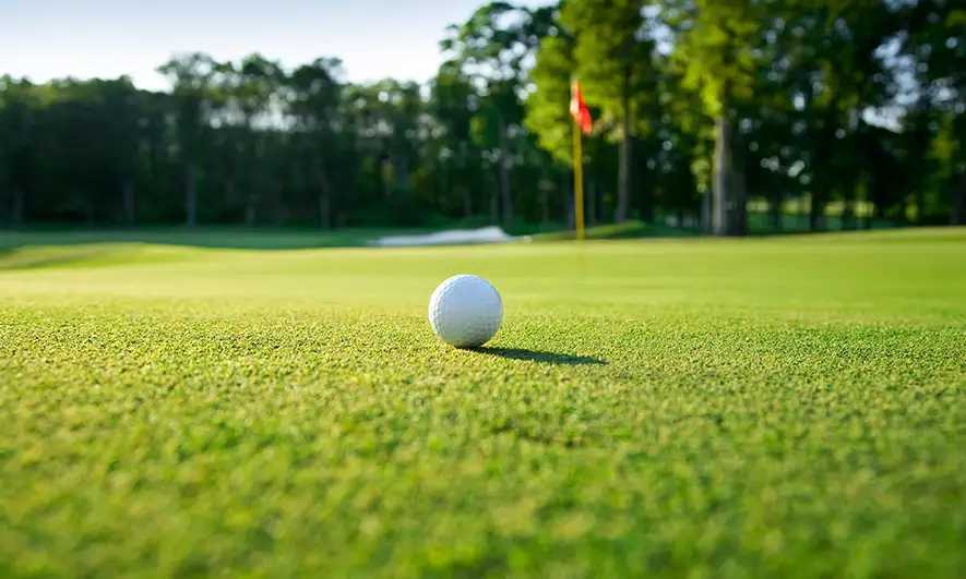 small business protected by golf insurance