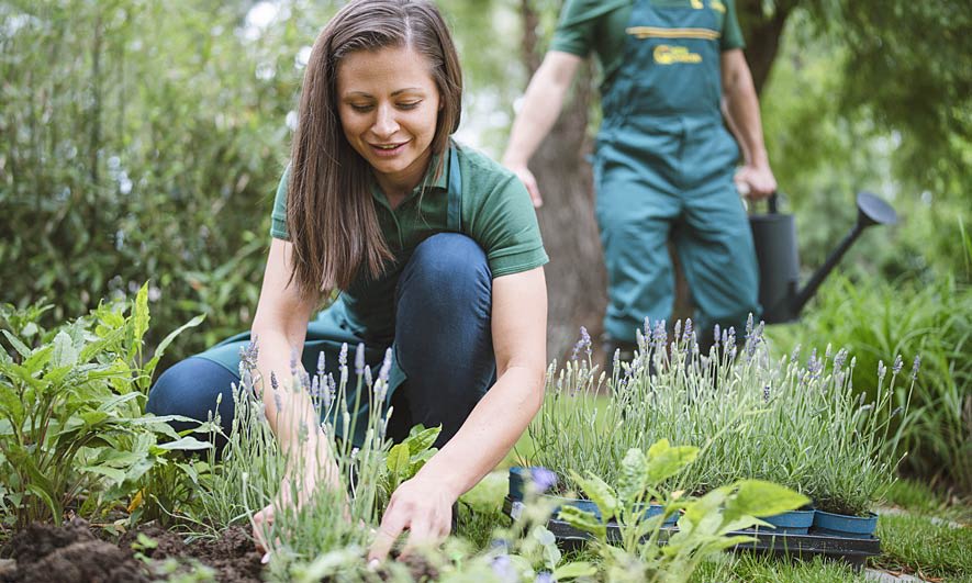 lawn care business insurance