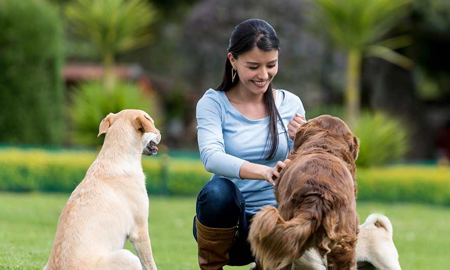 small business owner protected by Pet Sitter Insurance
