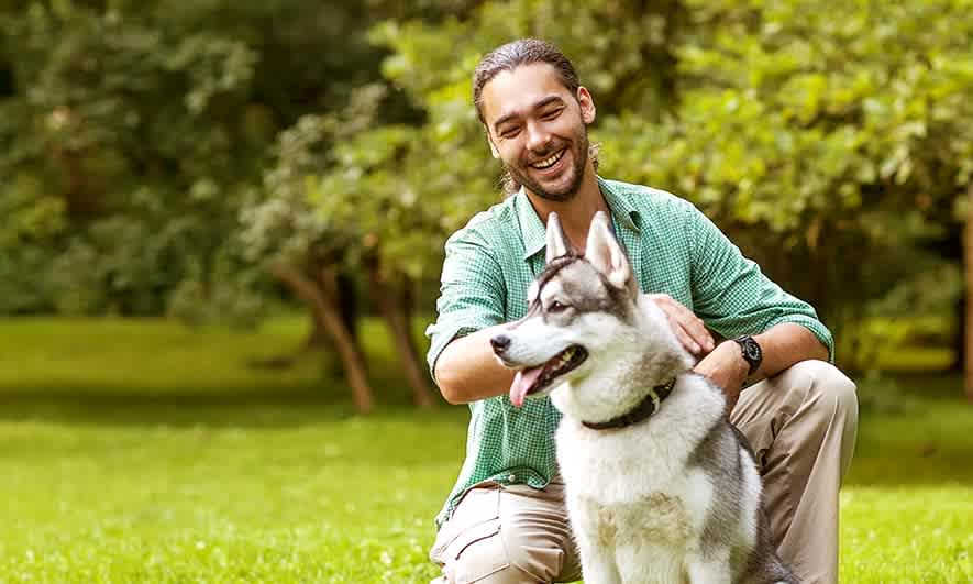 Pet trainer insurance
