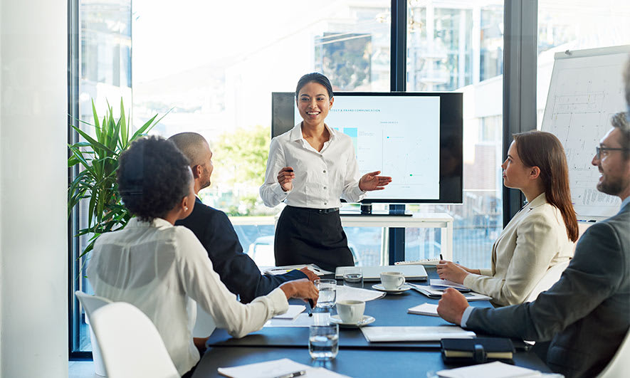 Program Business Overview