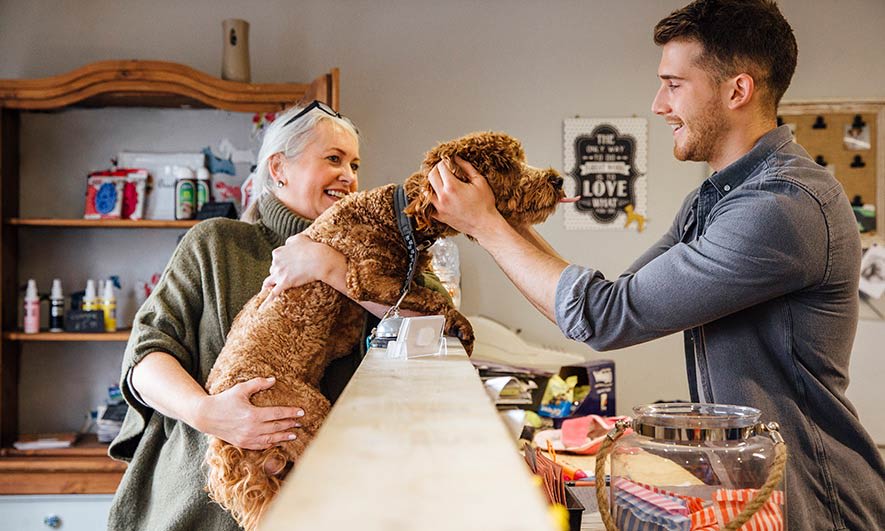 small business protected by pet shop insurance