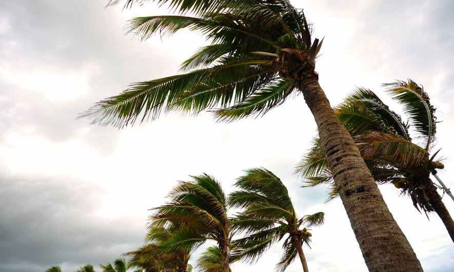 How to Keep Your Home Safe in Strong Winds