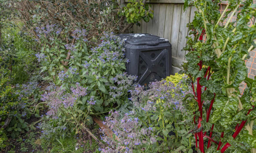 A black compost bin surrounded by blooming plants