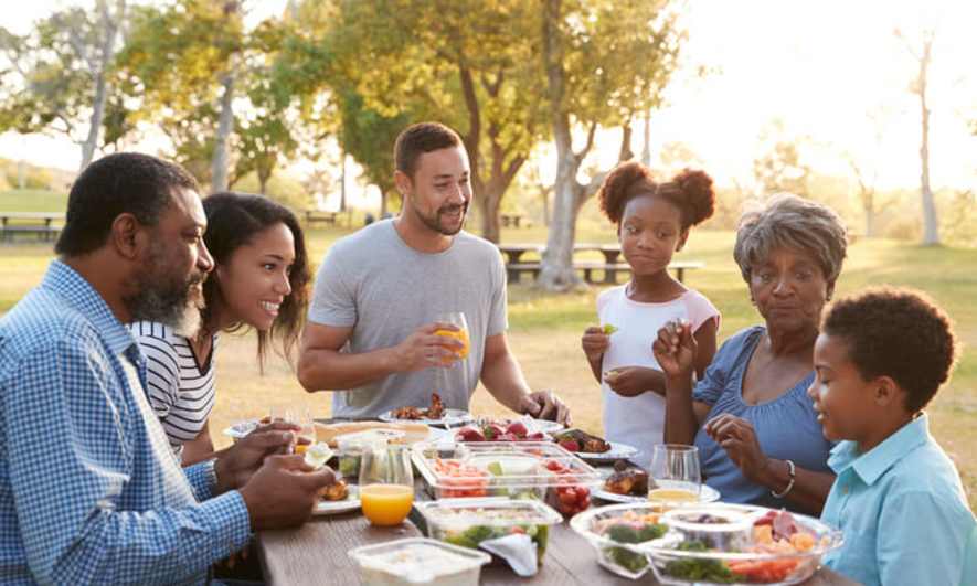Family Picnic
