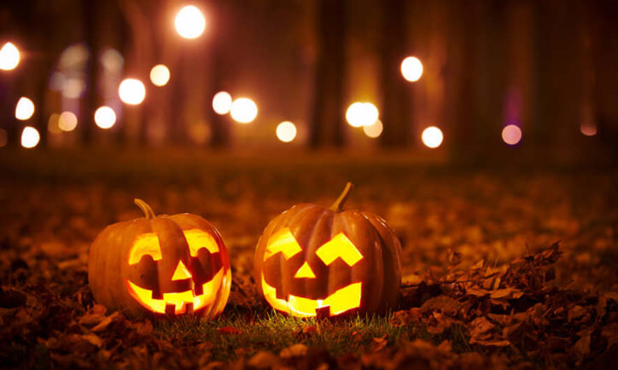 Jack-o-lanterns sitting in fallen leaves