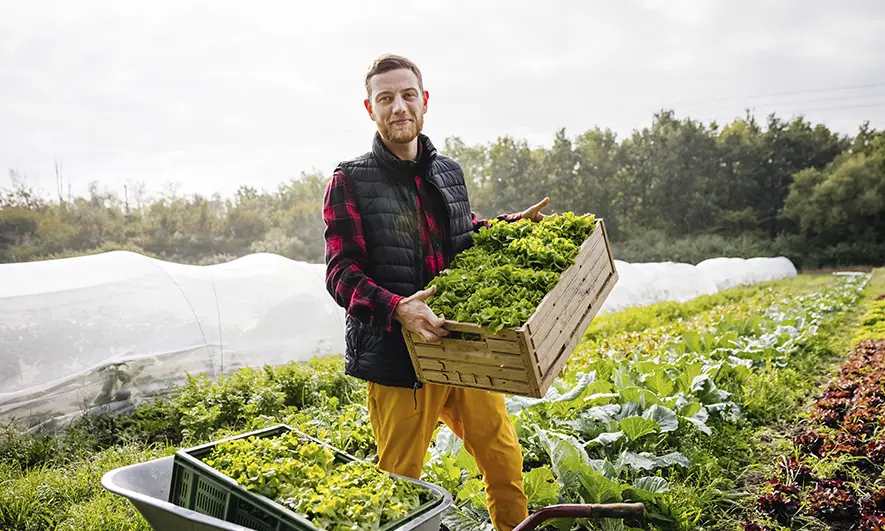 El propietario de un negocio agrícola obtiene una cotización de seguro de agroturismo en línea