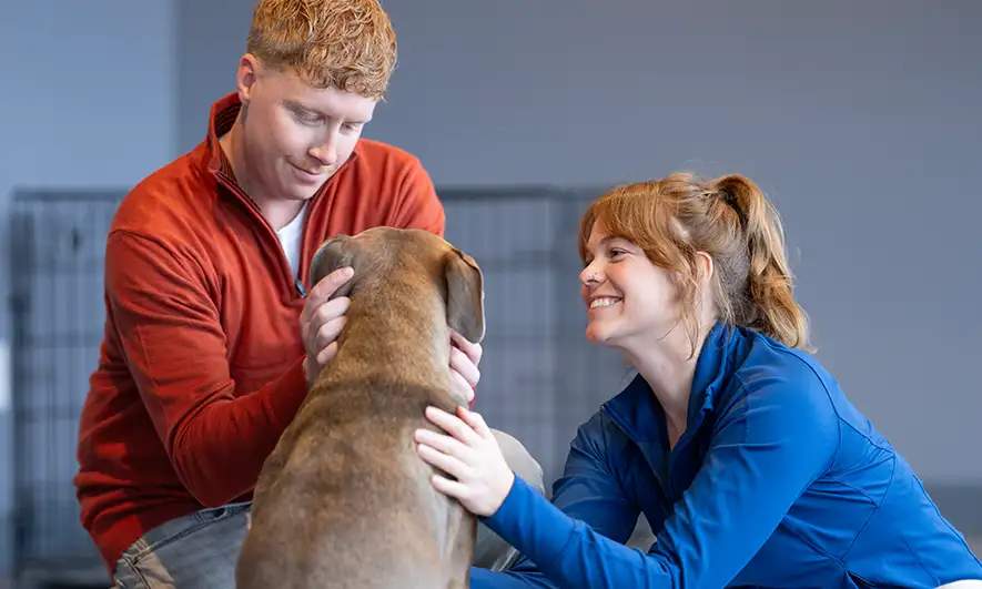 small business owner feels secure with animal shelter insurance