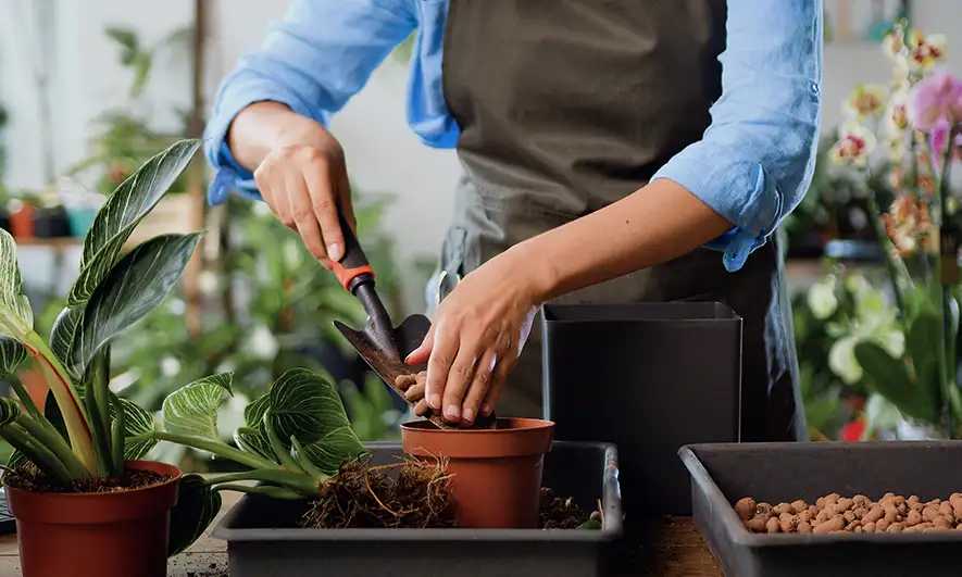 flower shop owner knows business insurance cost