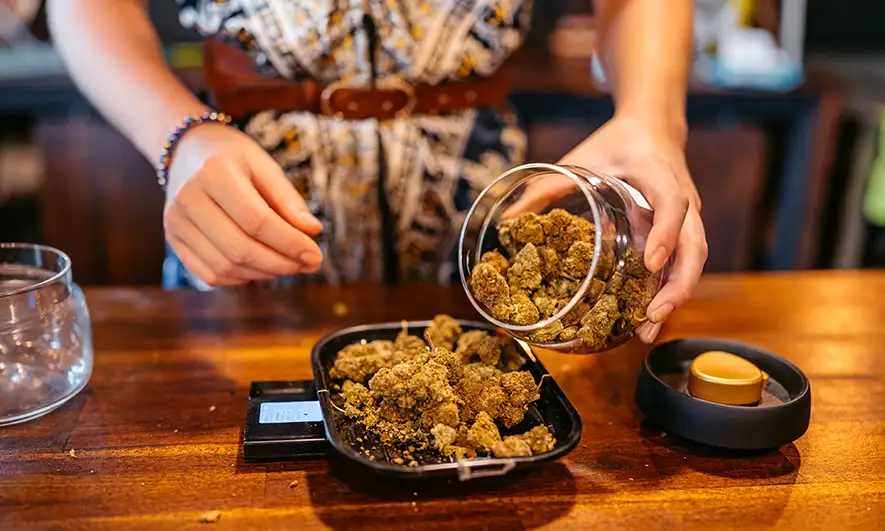 business protected by cannabis business insurance