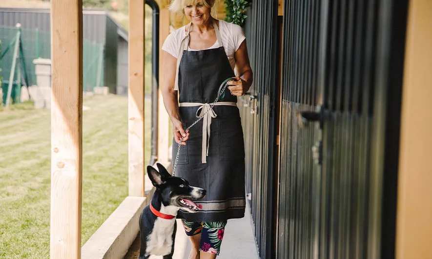 business owner protected by dog boarding business insurance