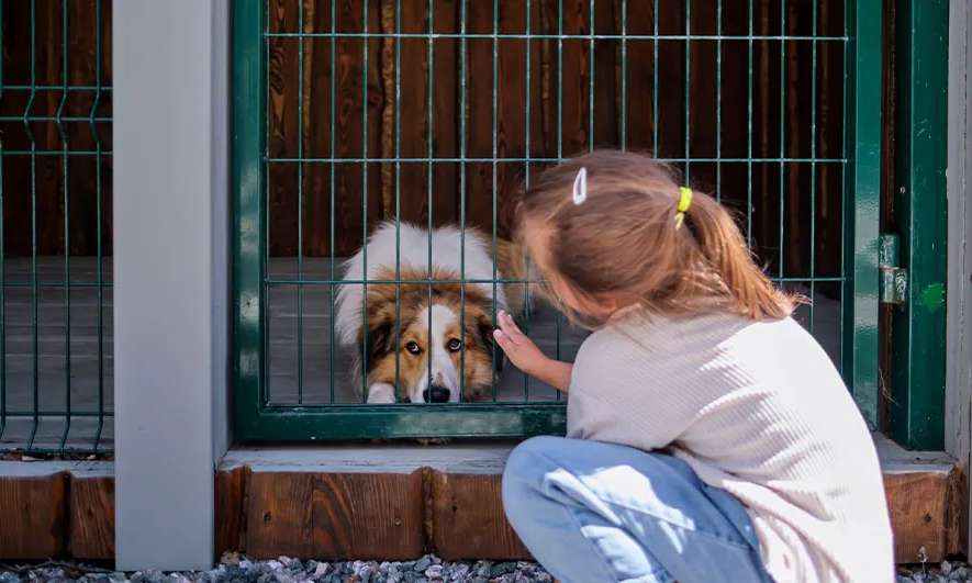 small business owner is happy after getting a dog boarding insurance quote from The Hartford