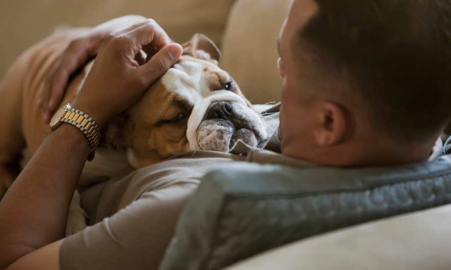 Man sitting with his pet bulldog
