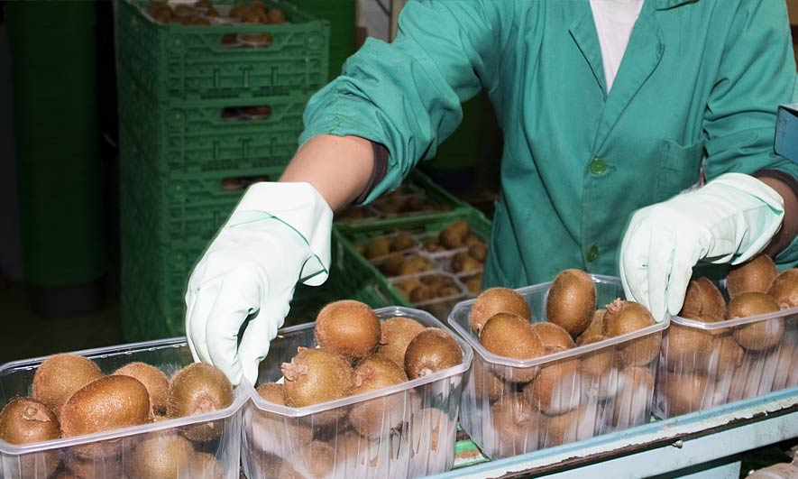 Wholesale business insurance