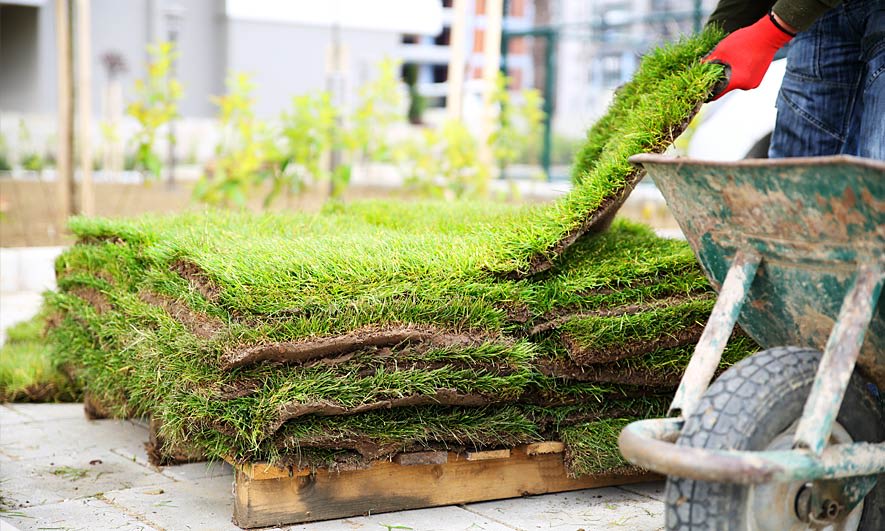 Lawn care business insurance