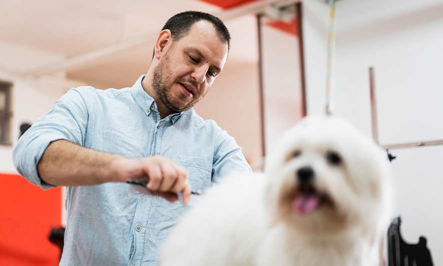 pet groomer insurance