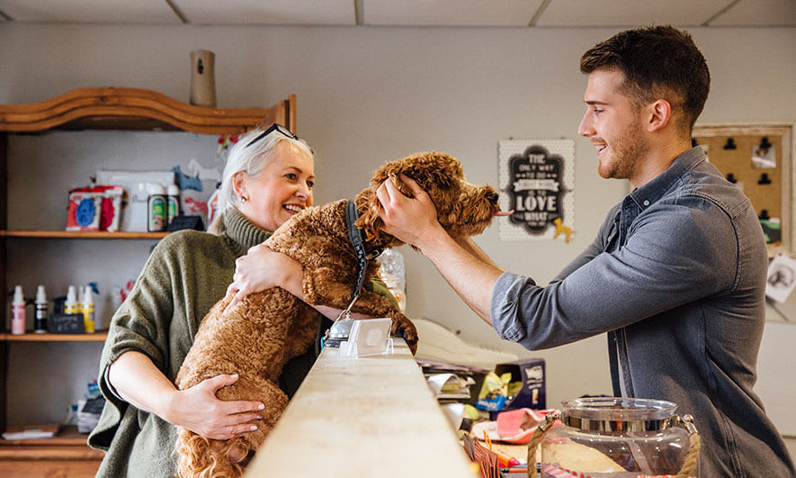 dog trainer insurance