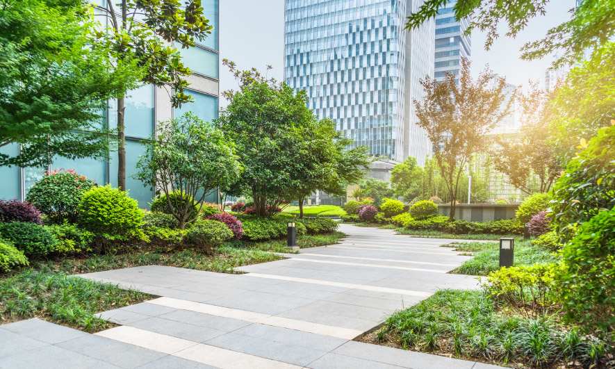 Beautiful walking path between office buildings