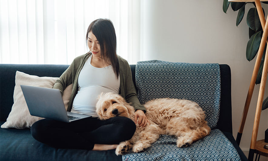 pet sitters insurance