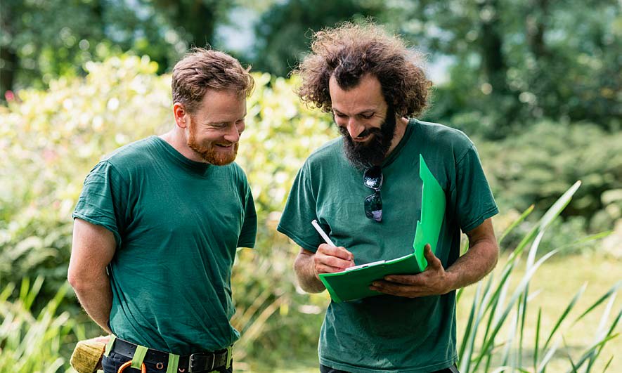 Tree removal insurance